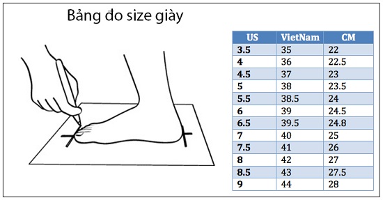 giày đá bóng thể thao